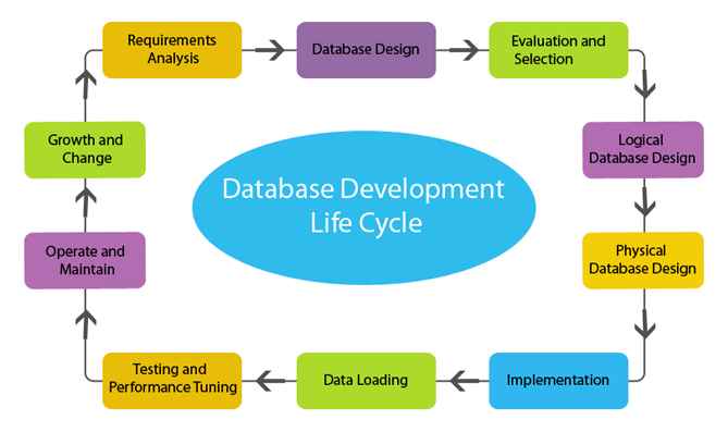 Database Development